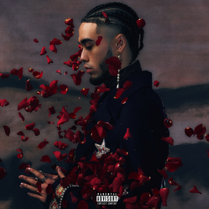 松下纱荣子漂亮人妻的背景故事
