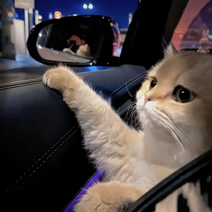 松下纱荣子漂亮人妻的背景故事
