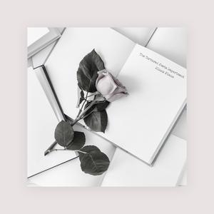 松下纱荣子漂亮人妻的背景故事
